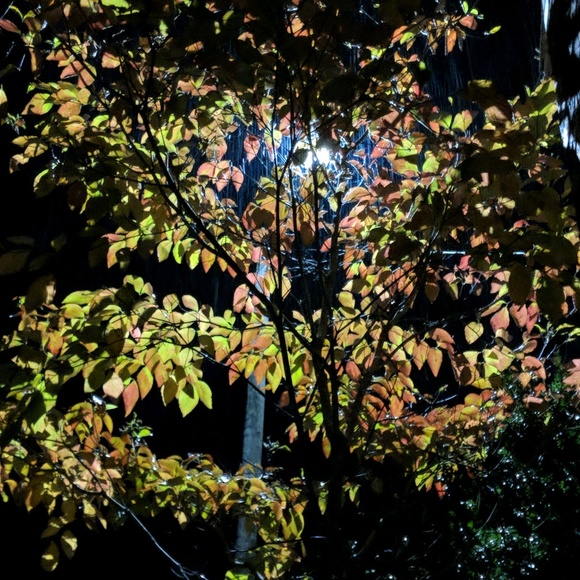 Meet your Posher, Kimberly - Picture 1 of 1